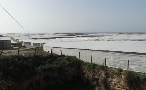 COAG considera que el Gobierno ha publicado una rebaja fiscal arbitraria que no atiende al sector agrario almeriense