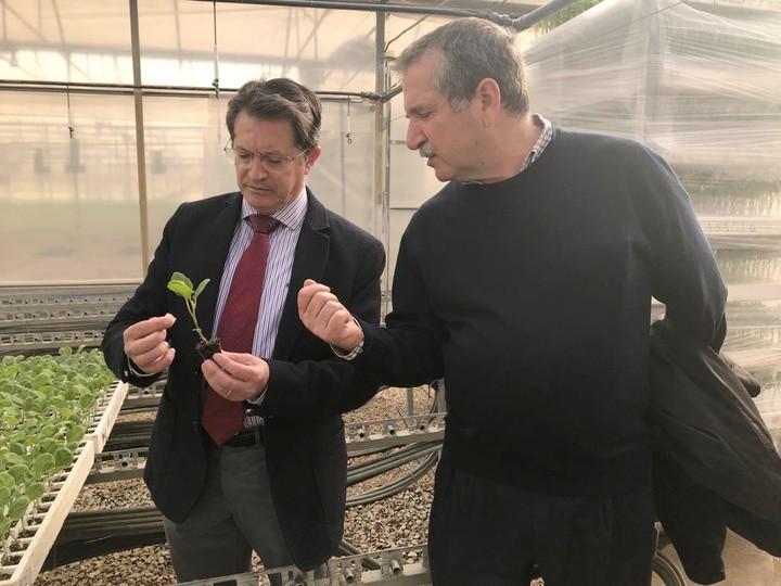 La Región de Murcia lidera la producción nacional de plantas hortícolas con casi 5.000 millones al año