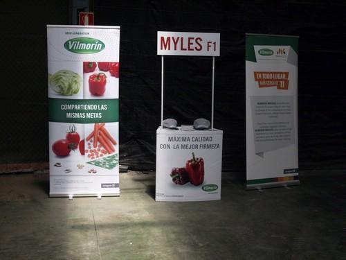 Vilmorin presenta a los agricultores de Adra las variedades de lamuyo Myles F1 y Legado F1, el California E 4144 F1 y recuerda el catálogo de 'italianos'