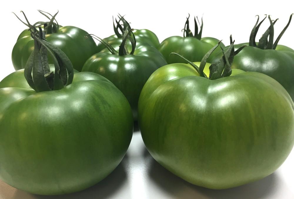 Top Seeds, la solución en tomate y pimiento para los agricultores del Levante almeriense