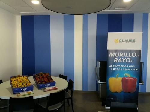 HM Clause promociona sus pimientos California Murillo y Rayo en el campo de Cartagena