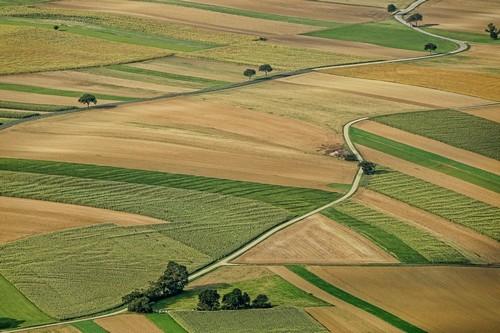 Keops Agro presenta Epigen Tecnology, nutrición vegetal basada en epigenética