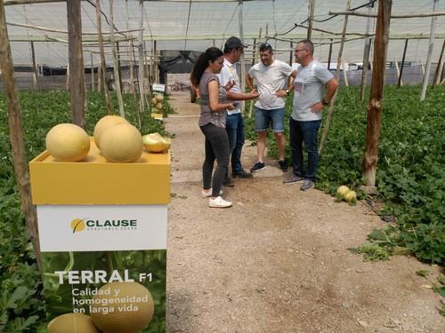 La calidad y homogeneidad en larga vida llegan con HM Clause gracias a su melón galia Terral