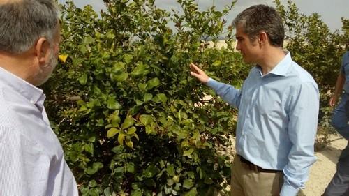 Agricultura estudiará el proyecto de modernización de regadíos de la comunidad 'El Porvenir' de Abanilla