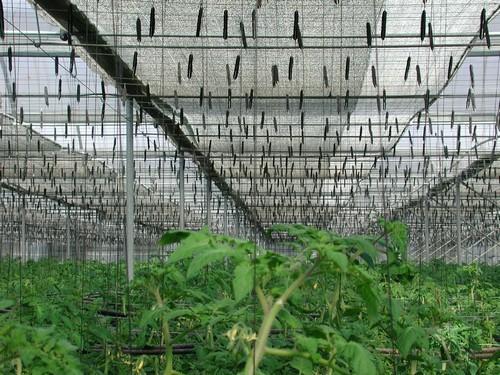 La Junta refuerza con un nuevo incremento de dos millones su apuesta por la bonificación de pólizas de seguros agrarios
