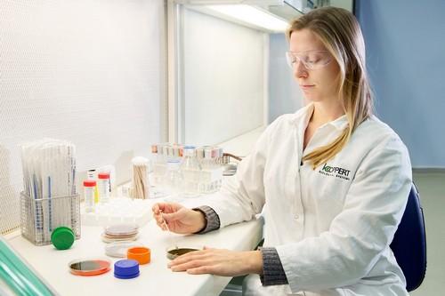 Trianum de Koppert, la opción más eficaz para comenzar la campaña con un cultivo fuerte y un suelo sano