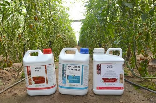 Fos Soap, S-System y Piretro Natura, herramientas básicas para un buen desarrollo de cultivo en ecológico