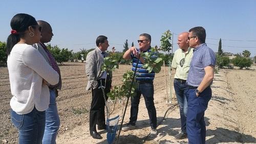 Murcia y el Consulado de Ecuador acuerdan llevar a cabo iniciativas de formación y de cooperación técnica