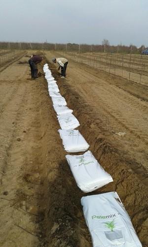 Pelemix lleva la experiencia de la hidroponía al frutal de campo con Total Hydro frutales