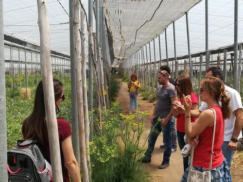 La Junta forma en producción ecológica a jóvenes agricultores beneficiarios de ayudas para la creación de empresas