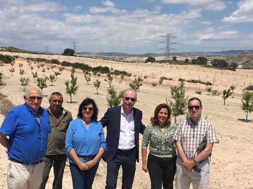 Agricultura ultima el pago de ayudas a 1.200 agricultores para reponer 896.000 almendros