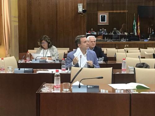 El PP espera que el PSOE agilice el cobro de las prestaciones por desempleo al sector del manipulado