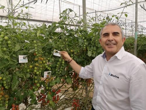 “En Bioline continuamos innovando para ofrecer las formulaciones más avanzadas en hortícolas protegidos”