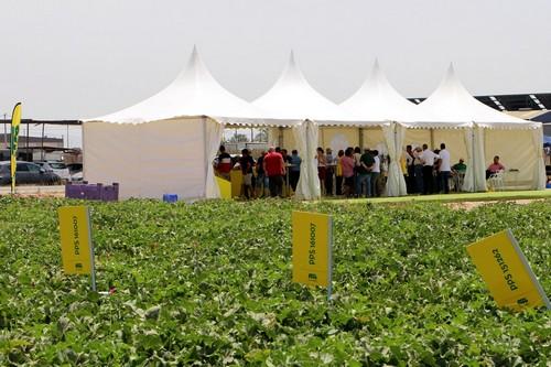 La FitóWeek 2018 presenta la renovada gama de melón en piel de sapo y novedades para exportación