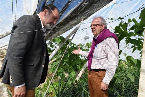 Vícar pide una línea de investigación sobre el plástico agrícola que impida colapsar las estructuras en caso de sobrecarga