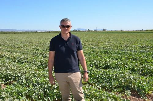 Syngenta presenta Macabeo, su nuevo melón piel de sapo para ciclo medio en Murcia y extratemprano en La Mancha