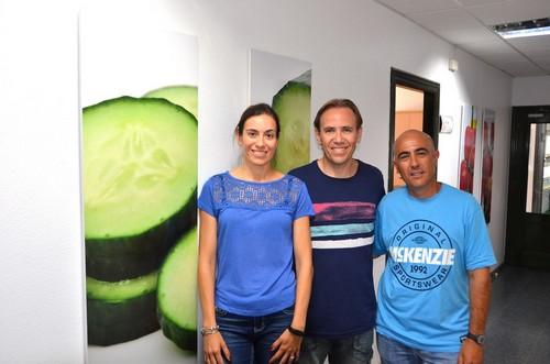 Seminis, garantía de fortaleza radicular, productividad, homogeneidad y color de fruto con poscosecha en pepino