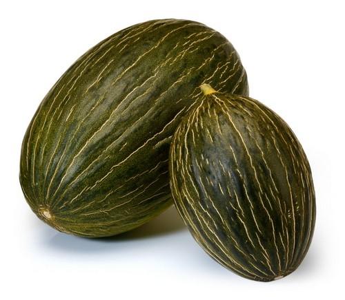 Rijk Zwaan suma Dolsura RZ a su amplio portfolio de variedades de melón piel de sapo para exportación