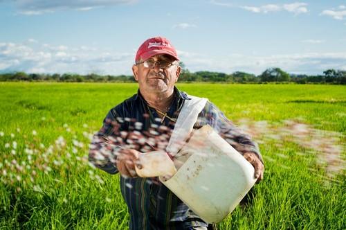 Ya está abierto el plazo para la presentación de candidaturas a los Premios de Andalucía de Agricultura y Pesca