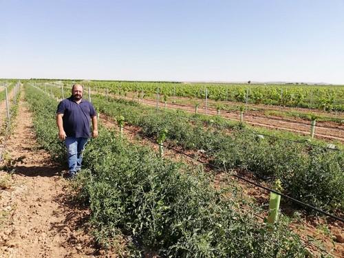 Mycodai, las micorrizas de Idai Nature que garantizan mayor rendimiento y desarrollo vegetal