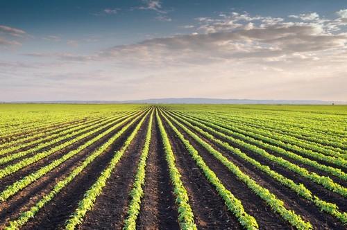BASF cierra la adquisición de negocios y activos de Bayer