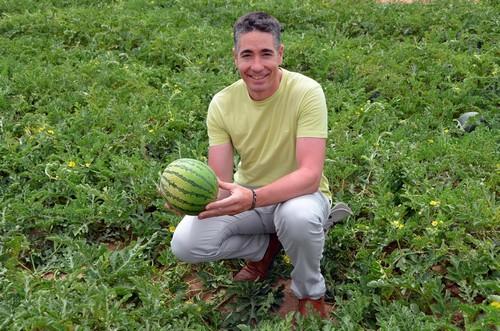Hazera demuestra la gran poscosecha de sus novedades en melón y sandía en Murcia