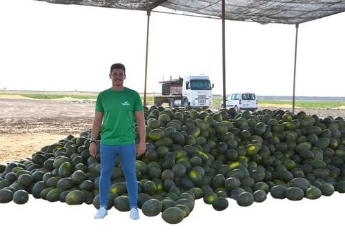 Seminis muestra en una jornada de puertas abiertas sus novedades en piel  de sapo convencional y para exportación