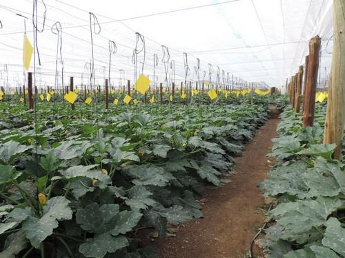 Más de 2.300 agricultores se beneficiarán de las ayudas para modernización de explotaciones agrarias