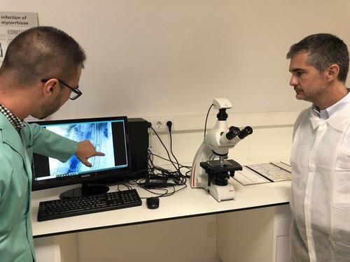 Los fertilizantes ecológicos extienden su uso en la Región y apuestan por el 'residuo cero'