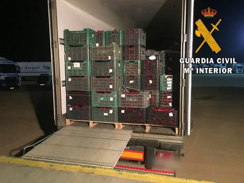 La Guardia Civil desmantela una organización criminal dedicada al tráfico de drogas que camuflaba en camiones de productos hortofrutícolas