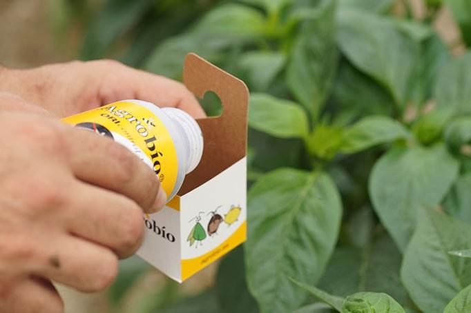 La campaña agrícola arranca en Almería con buen pie en control biológico