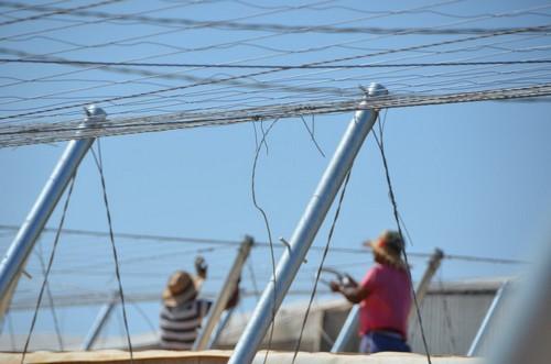 Invernaderos Gaitán, una apuesta segura en construcción y arreglo de invernaderos