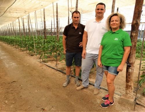 “Más calidad, más producción, menos frutos deformados y de uno a dos grados brix más”