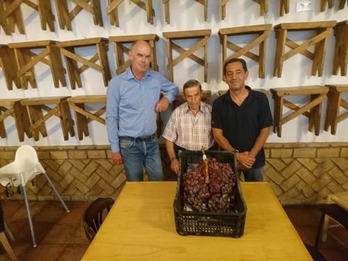 Producen el racimo de uvas más grande del mundo gracias a Riger, fertilizante orgánico de FERM O FEED