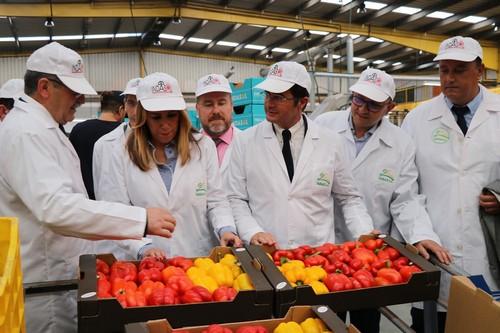 Susana Díaz anuncia la convocatoria el próximo viernes de 30 millones en ayudas a invernaderos