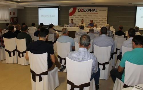 Promoción del invernadero, objetivo para la campaña 2018/2019 de COEXPHAL