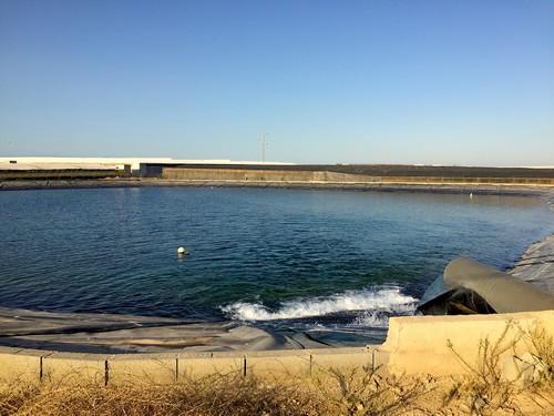 Asegurar el agua para la agricultura requiere dotar a Almería con 237 Hm3 en el horizonte 2030