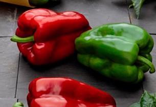 El calabacín y el lamuyo, los productos con mejor comportamiento en cuanto a precios en la última semana