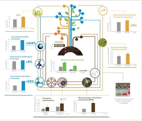 Biofertilizantes: la herramienta necesaria para promover al mismo tiempo la productividad y la sostenibilidad de los sistemas agrícolas