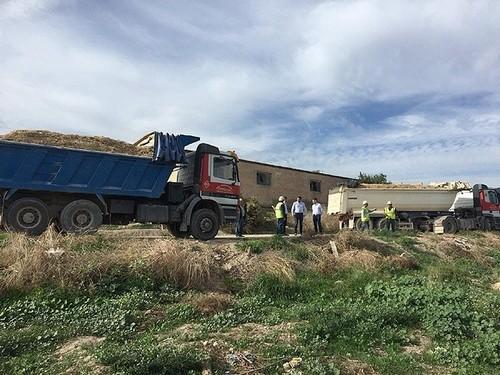 Investigadores de la UPCT identifican 13 especies vegetales para descontaminar el cauce del Guadalentín