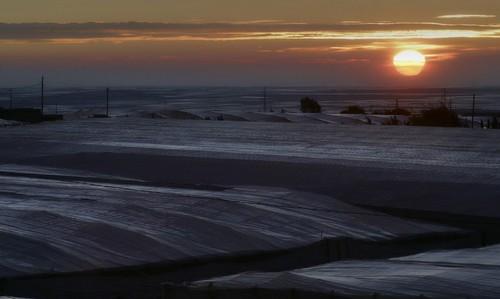 Almería concentra el 87,4% de los invernaderos de Andalucía Oriental