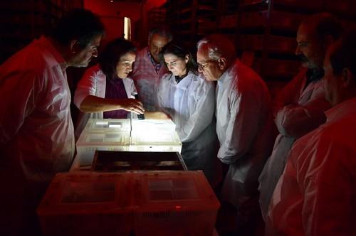 Agrobío, empresa ganadora del  Premio Economía 2018