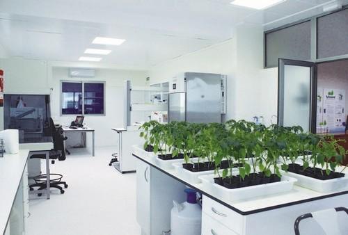 Nace la nueva generación de fitovacunas vegetales de señal amplificada