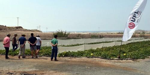 SHINGO, nuevo fertilizante bioestimulante para hortícolas