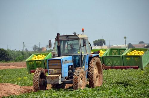 Ramiro Arnedo, una garantía en melón  piel de sapo y amarillo para Murcia