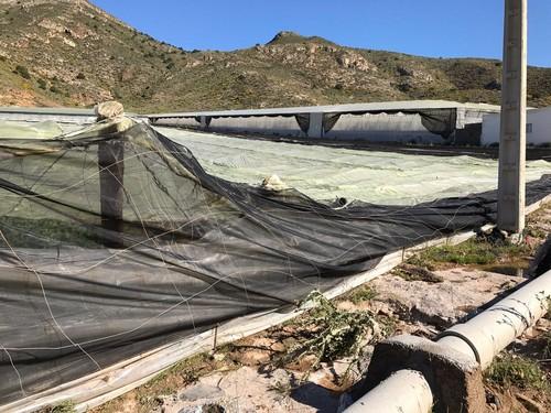 El Gobierno aprueba el 40º Plan de Seguros Agrarios Combinados