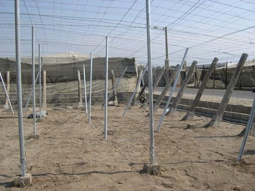 Agricultura amplía el plazo de solicitud de las ayudas para jóvenes y modernización de invernaderos hasta enero de 2019