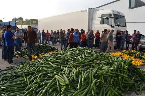 COAG solicita al Ministerio de Agricultura que convoque al grupo de trabajo hortícola ante la crisis de precios