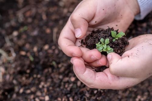 LIDA Plant Research apuesta por la innovación verde