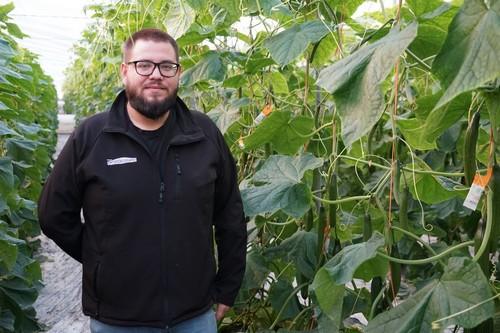 Prolectus®, fungicida eficaz contra botrytis  con una única materia activa, Fenpirazamina